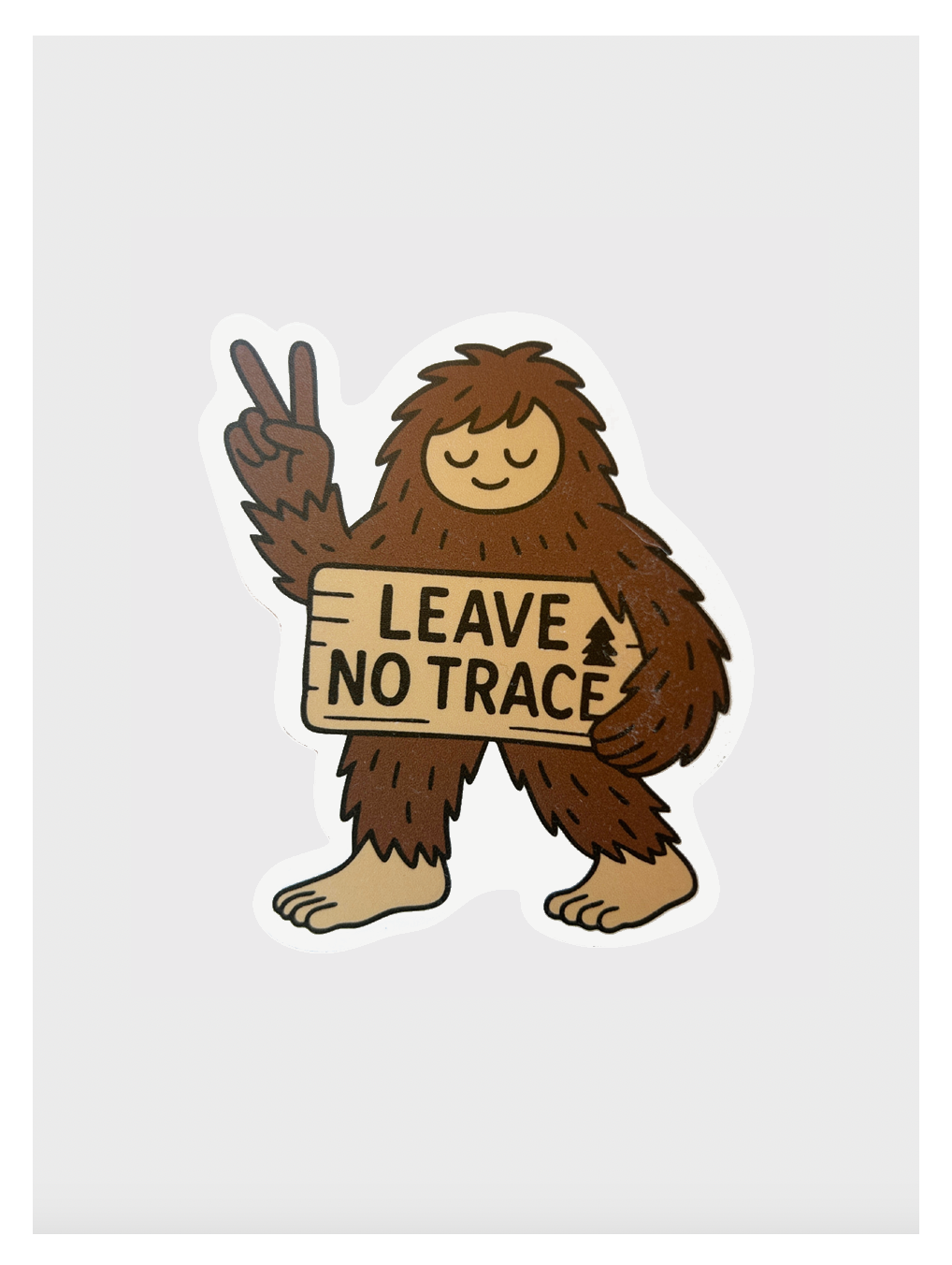 Leave No Trace Sticker