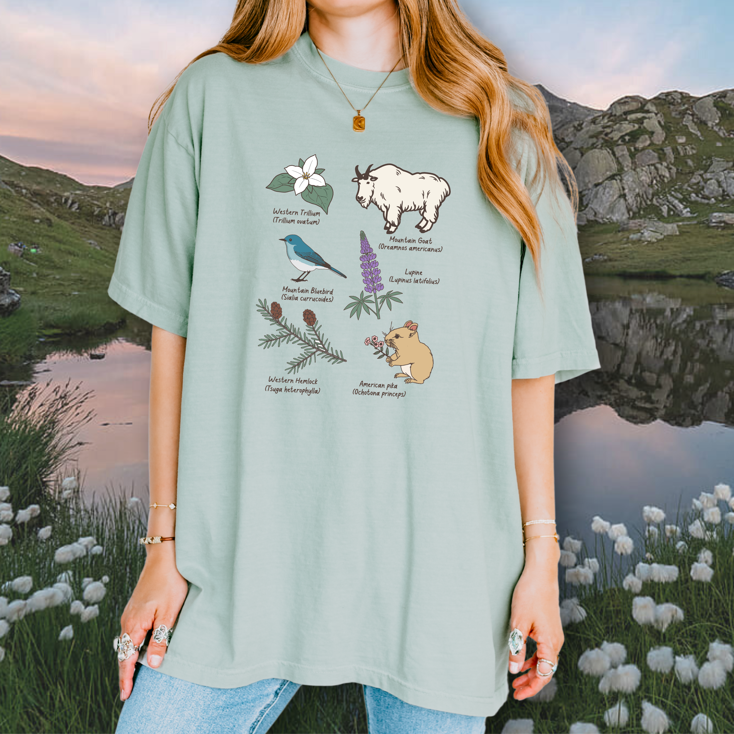 Cascade Mountains Field Guide Tshirt