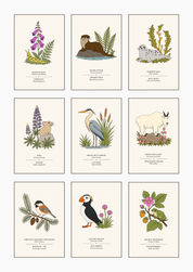 PNW Flora & Fauna Post Card Set
