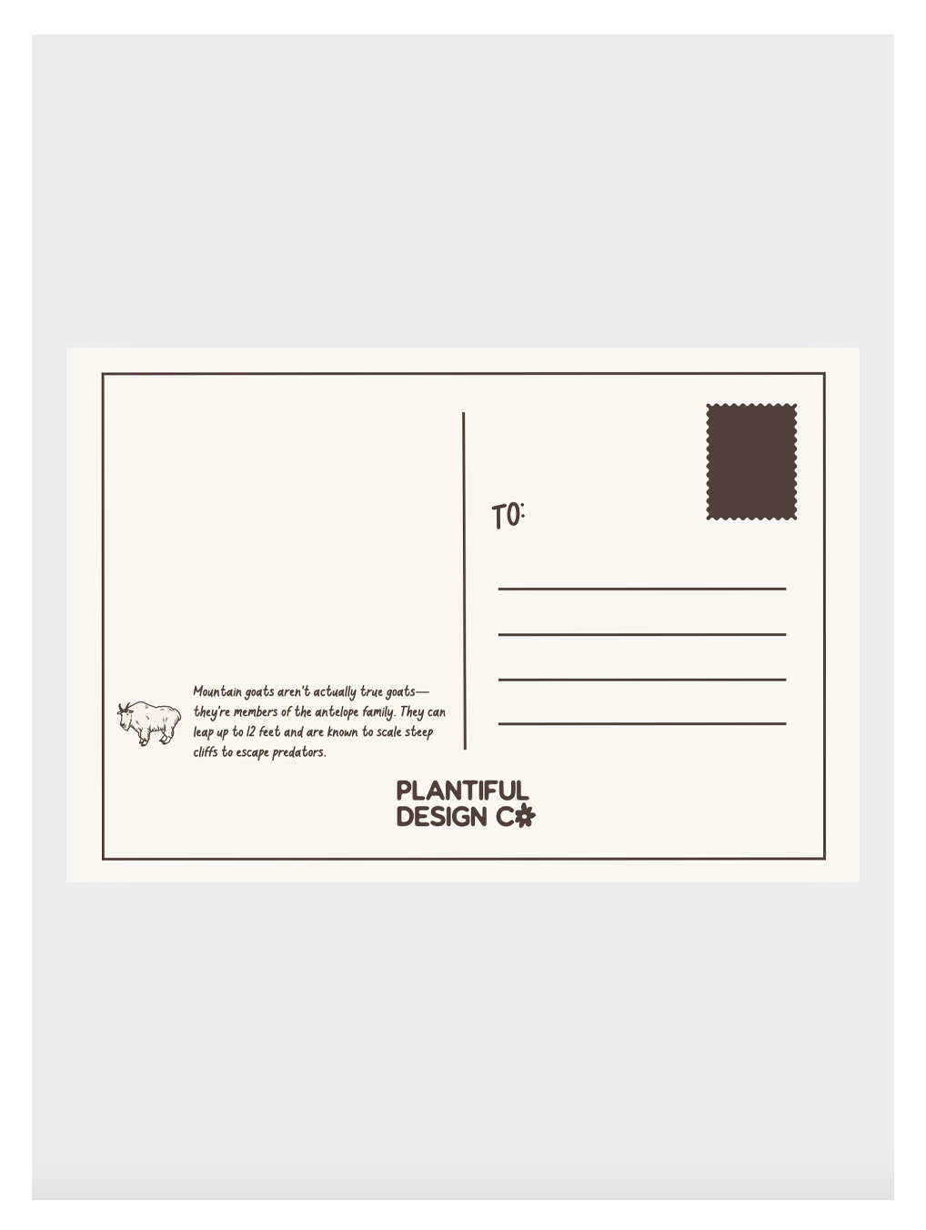 Cascade Mountains Field Guide Post Card