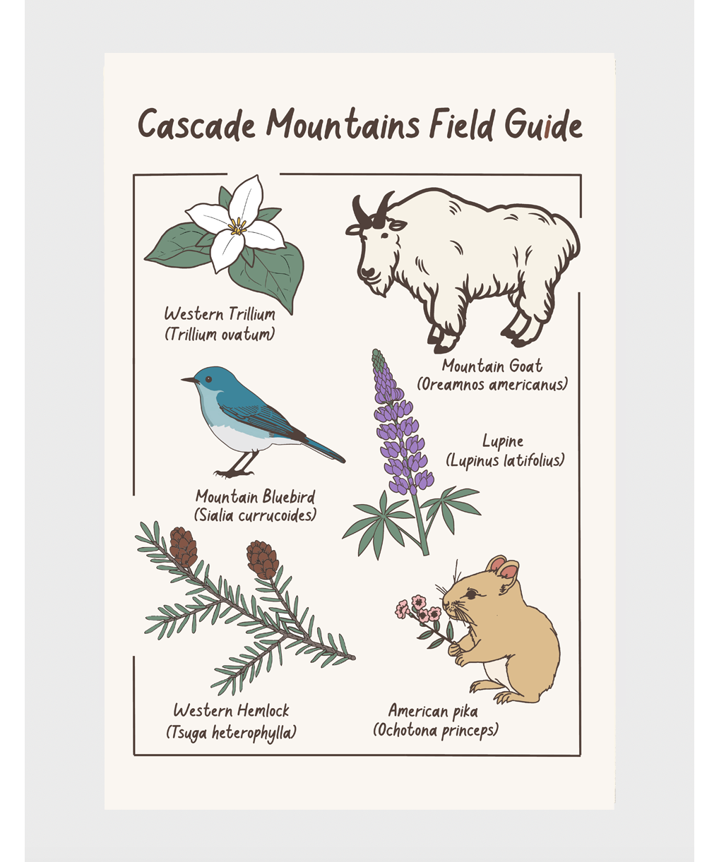 cascadepostcardfrontcopy.png