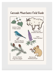 Cascade Mountains Field Guide Post Card