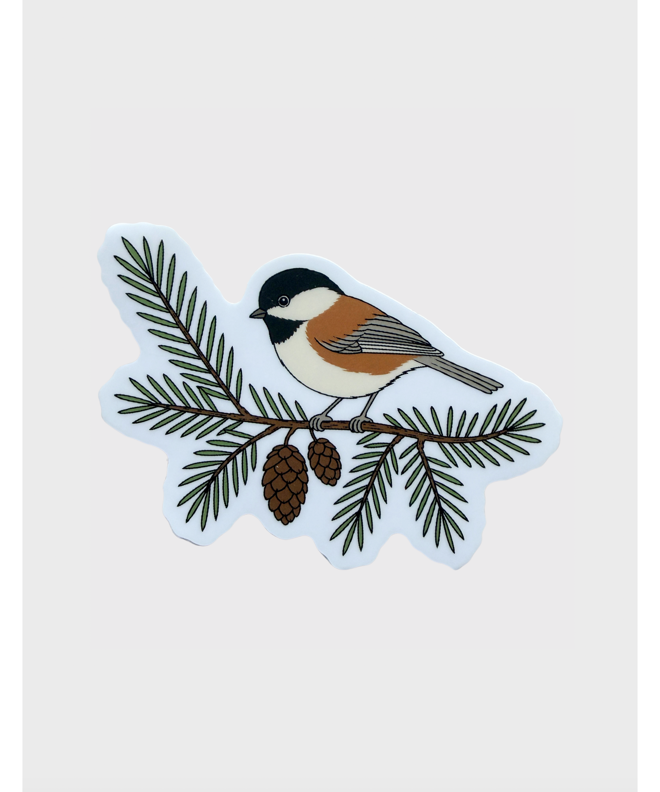 chickadee.png