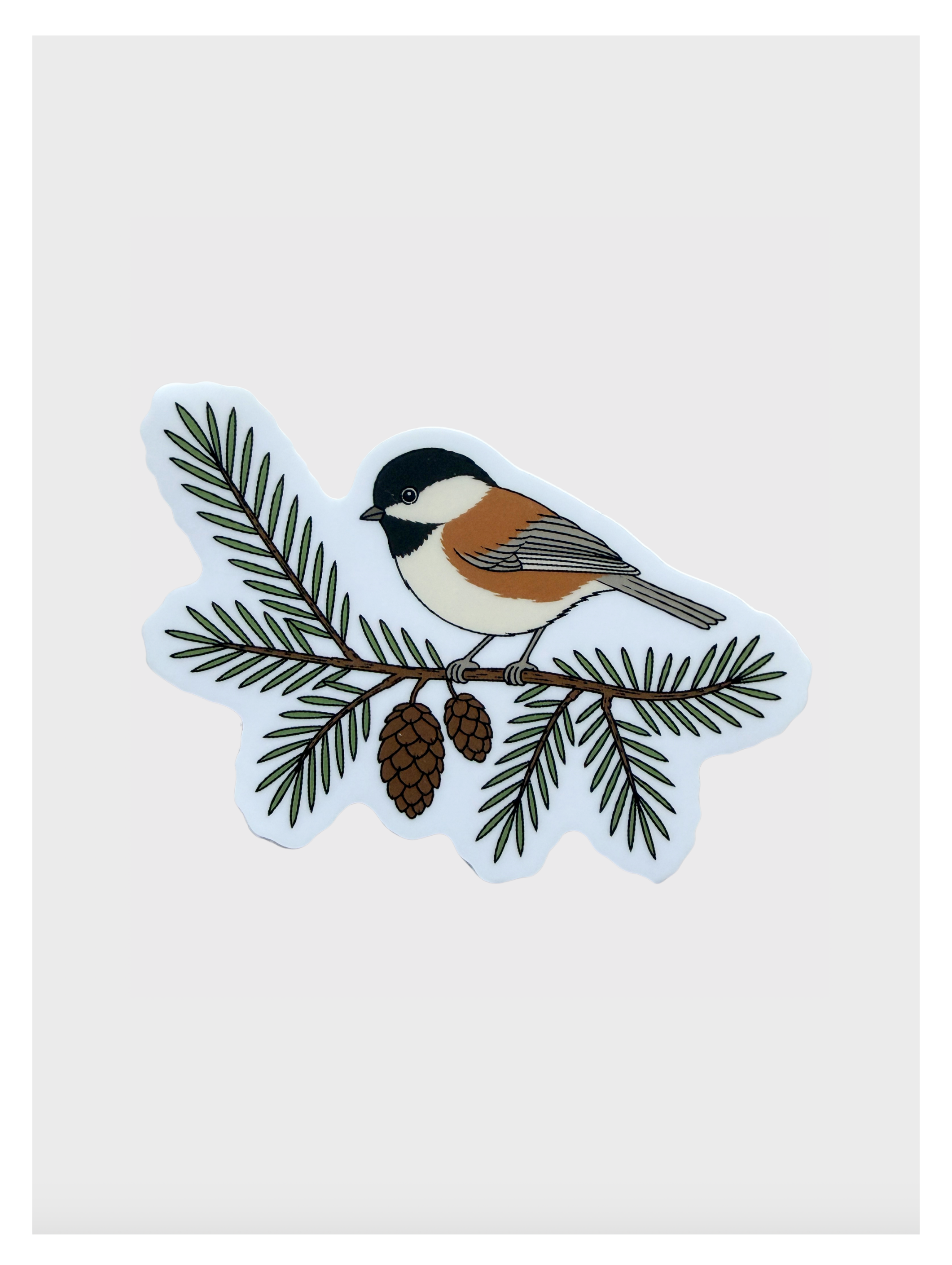 Chickadee Sticker