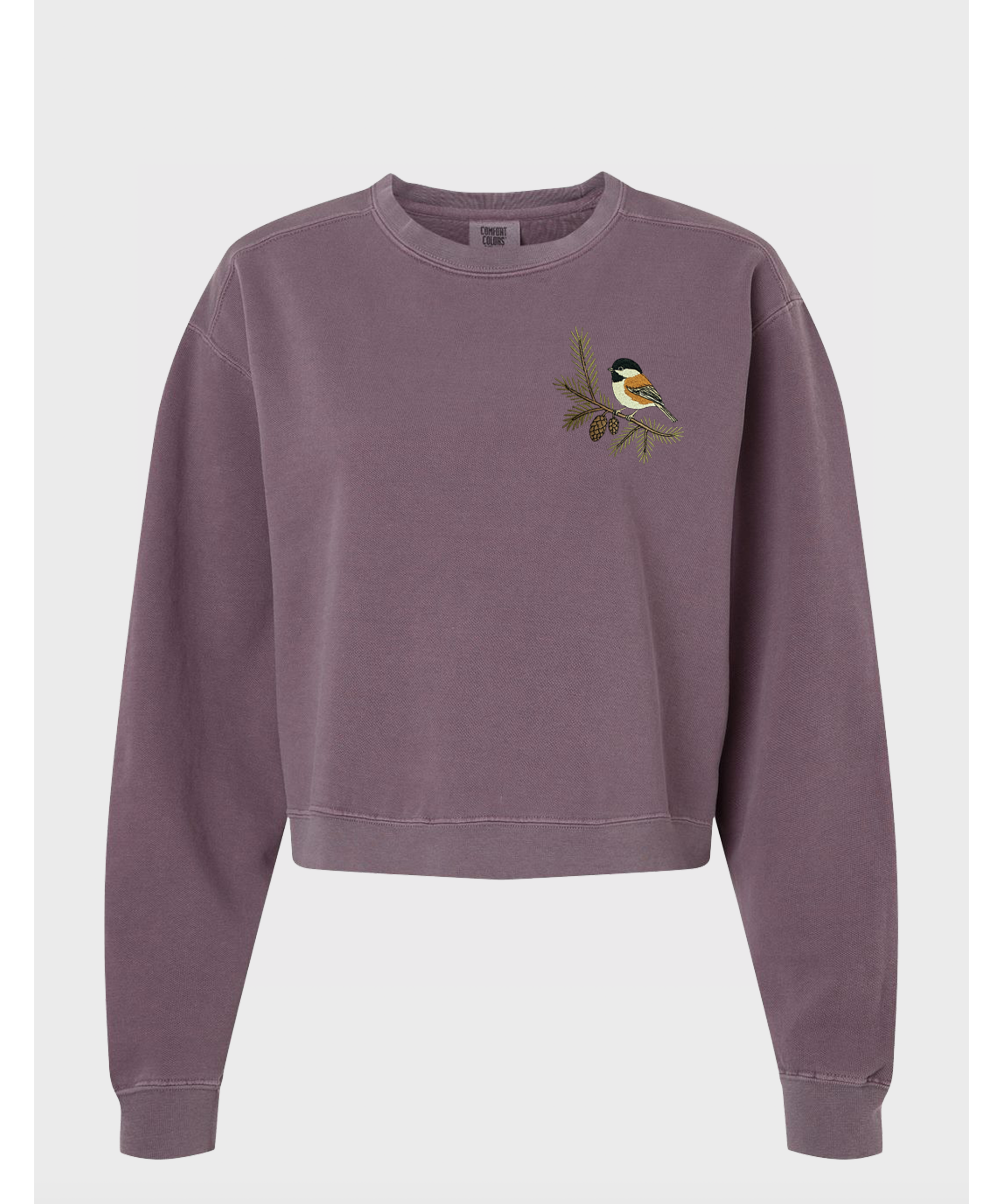 chickadee_and_douglas_fir.png