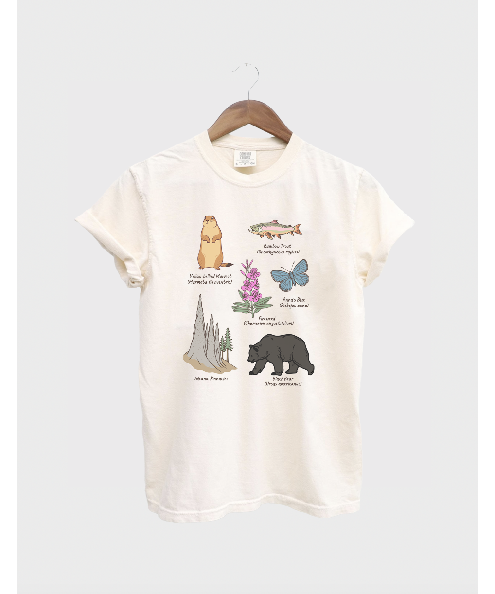 crater_lake_tshirt1.png