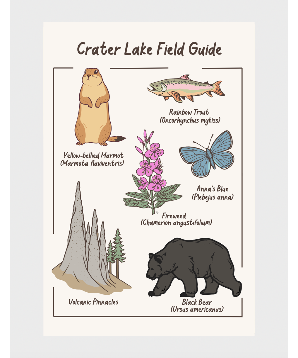 craterlakepostcardfrontcopy.png
