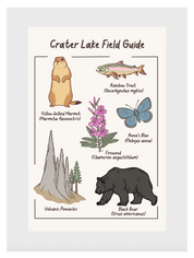 Crater Lake Field Guide Post Card