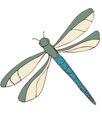 dragonfly.png