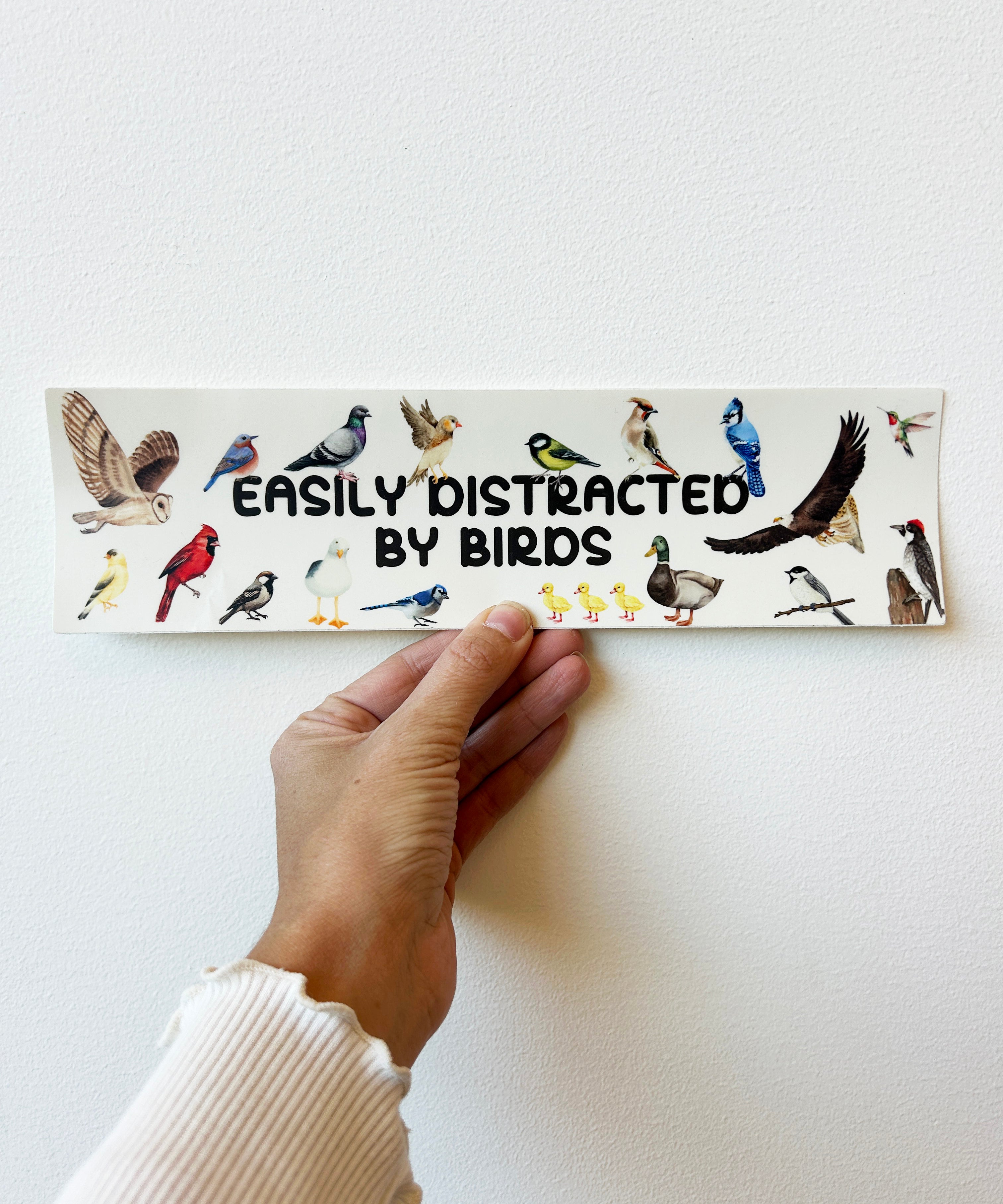 easily_distracted2.jpg