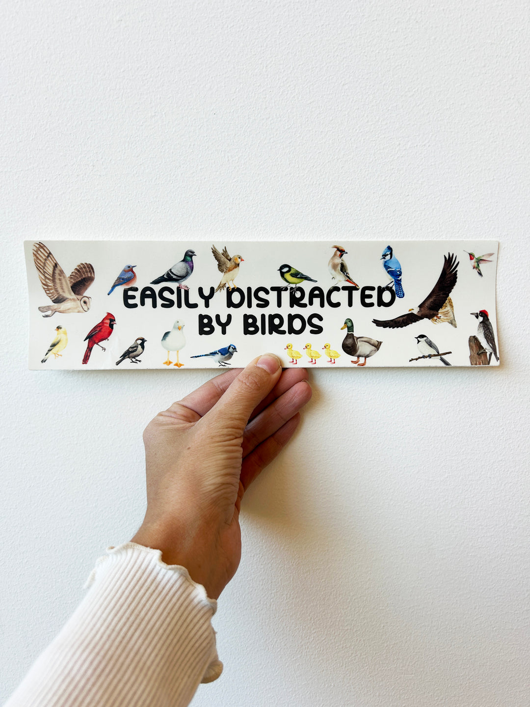 Easily Distracted by Birds Bumper Sticker