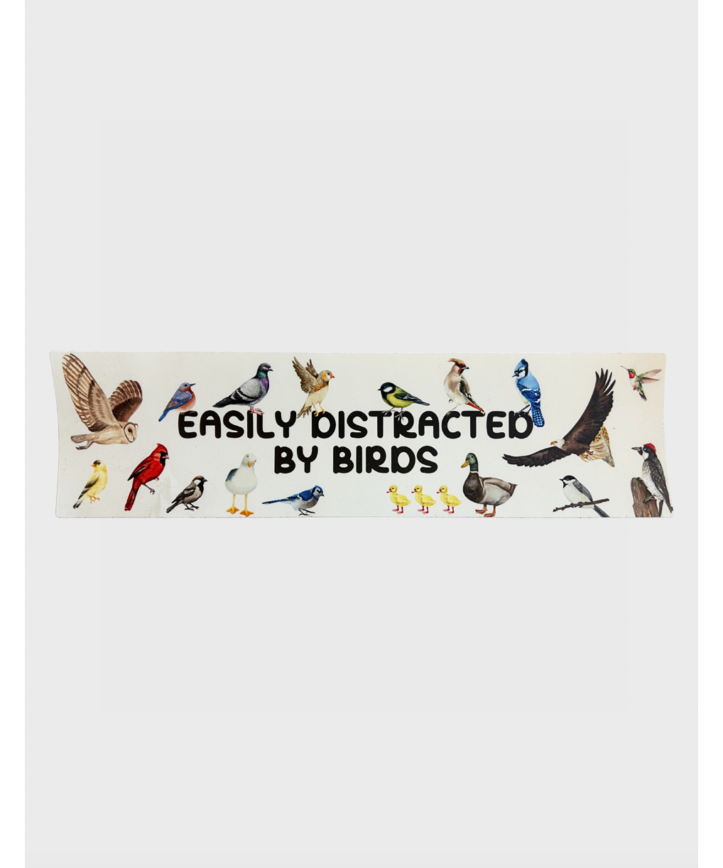 easilydistractedbybirds.png