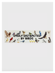 Easily Distracted by Birds Bumper Sticker