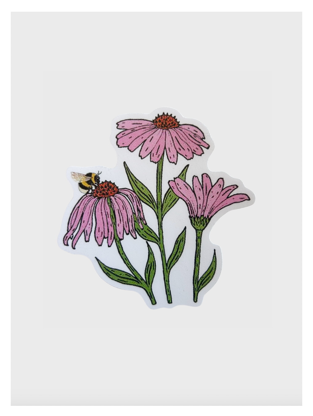 Echinacea Flower Sticker
