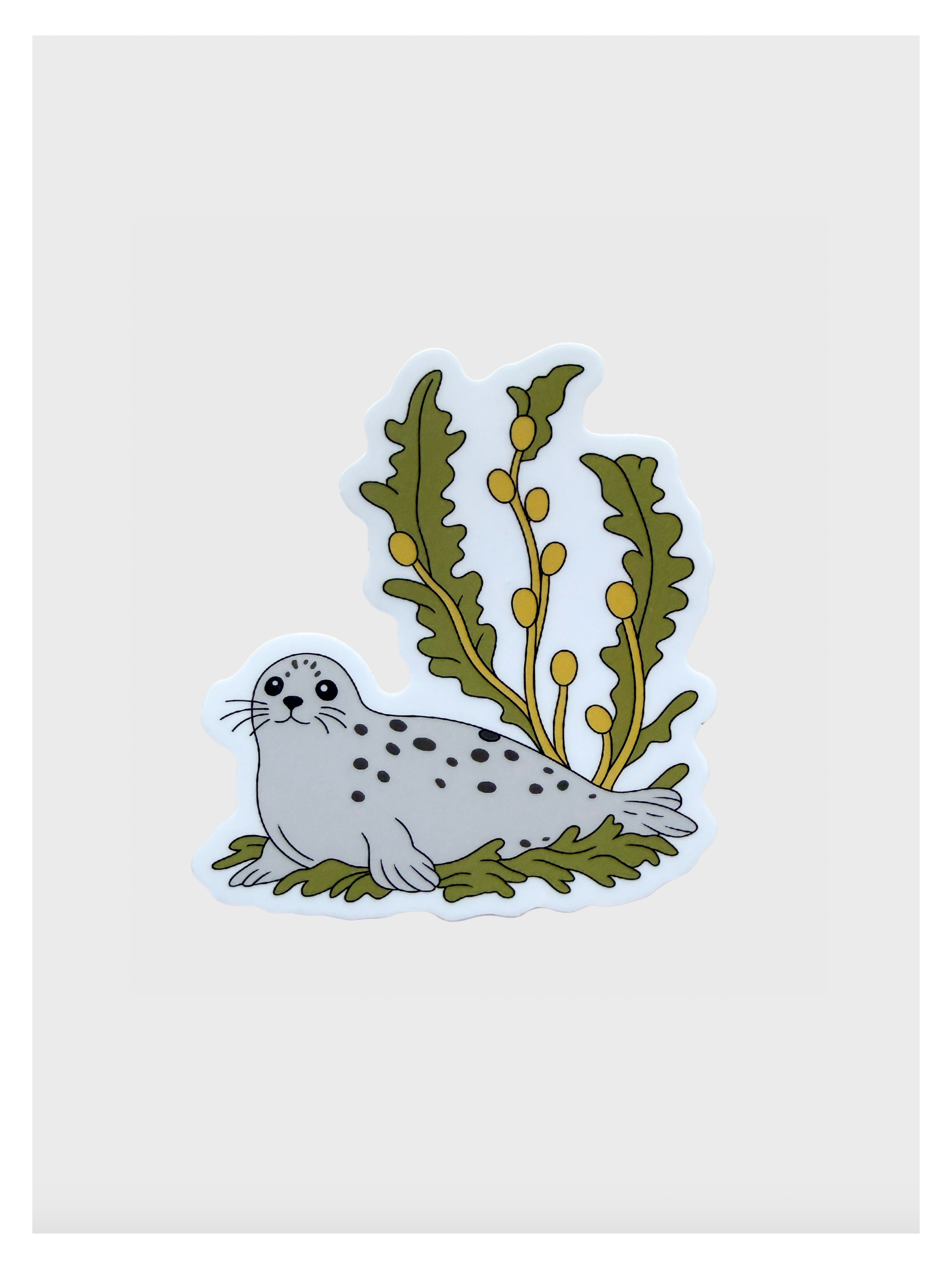 Harbor Seal Sticker