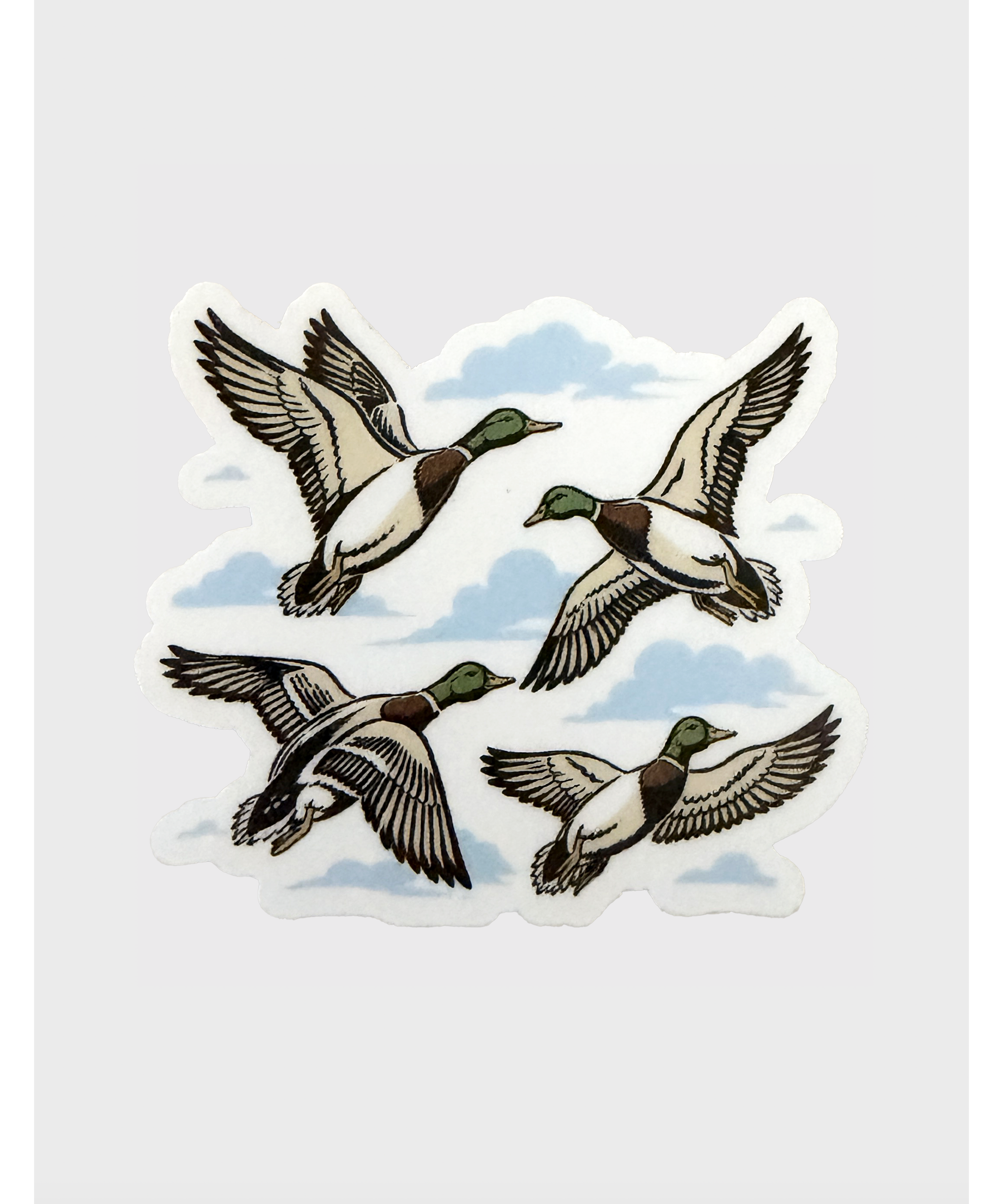 mallard_duck_sticker.png