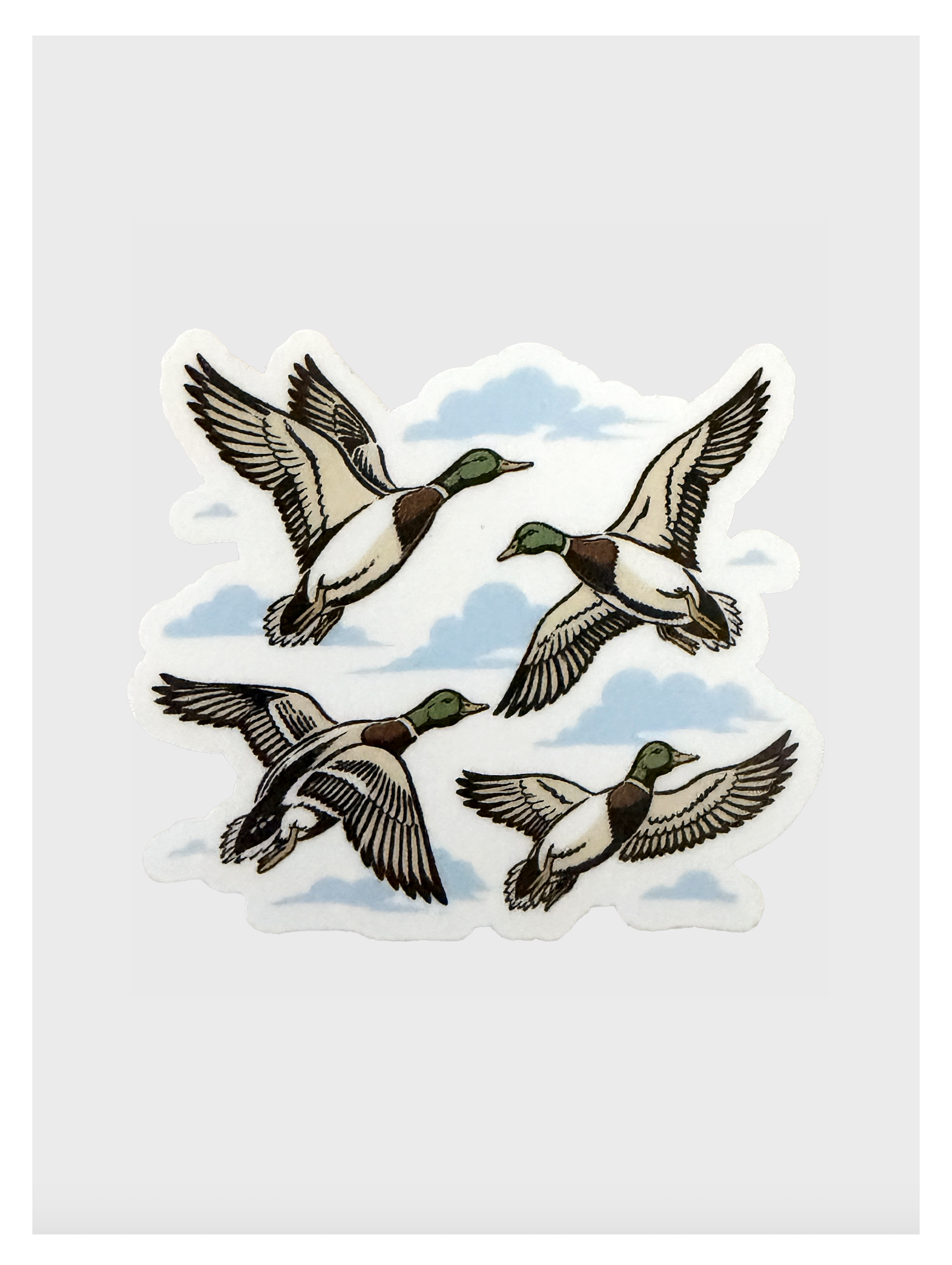 Mallard Duck Sticker