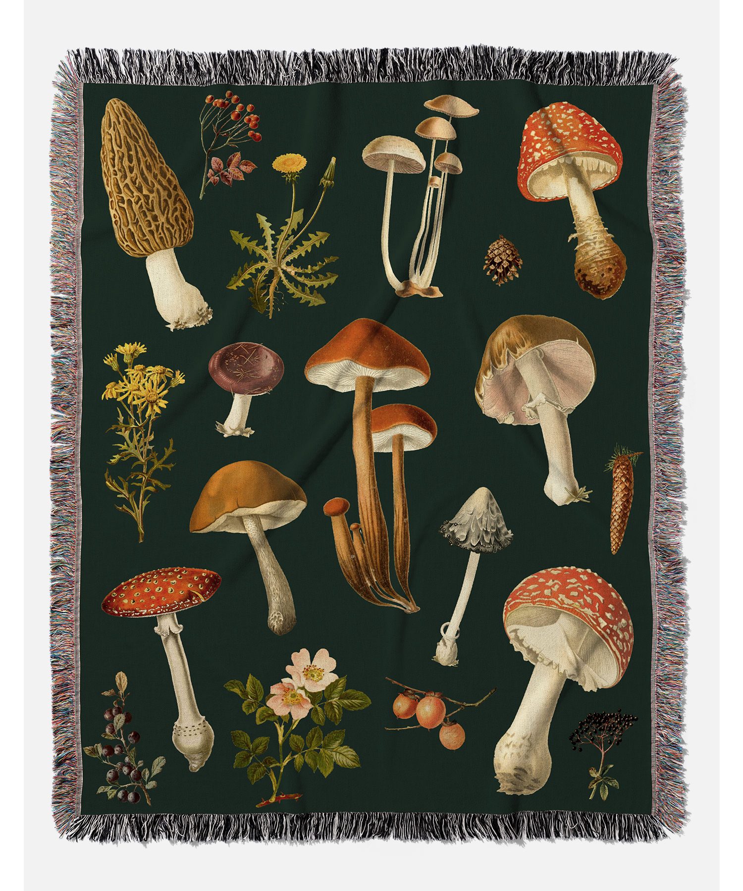 mushroomblanket.png