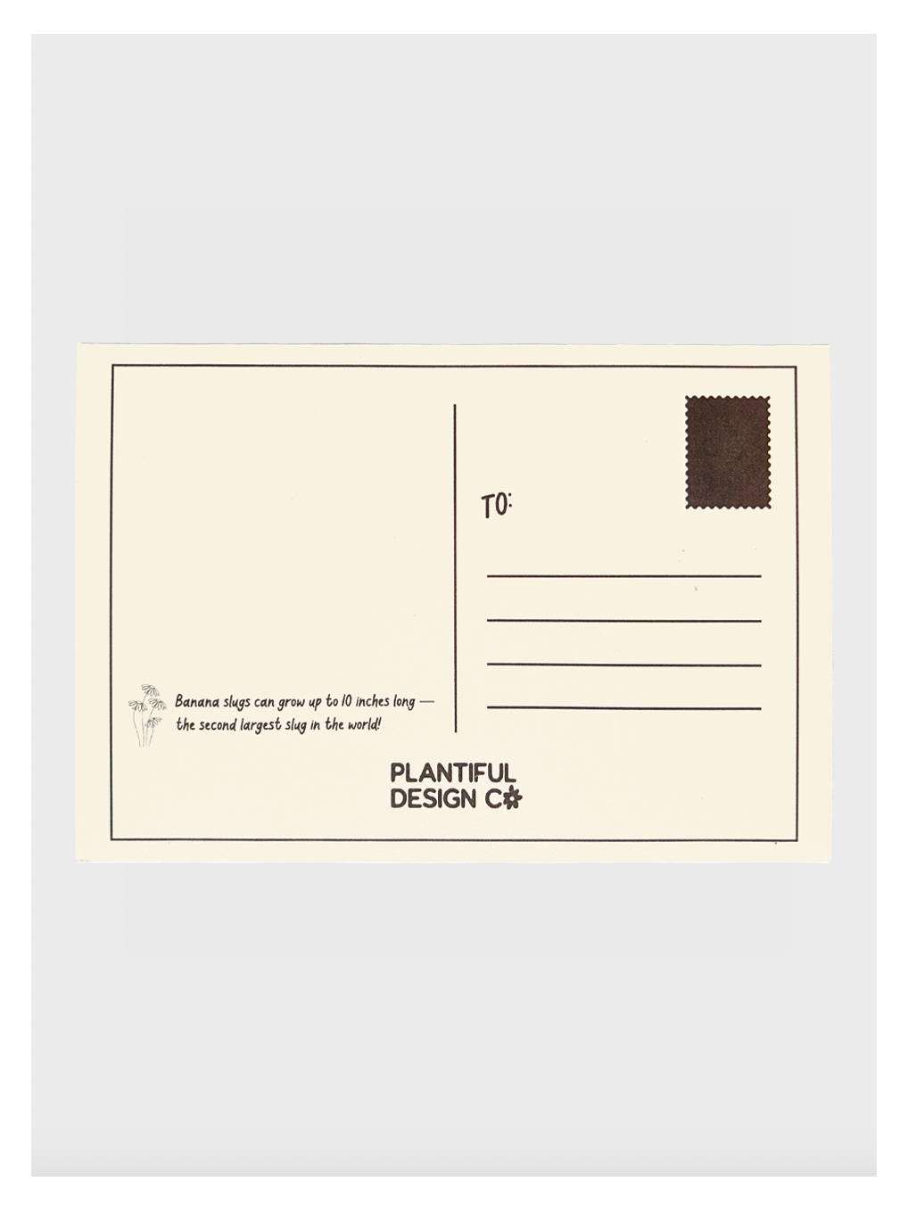 Olympic Peninsula Field Guide Post Card