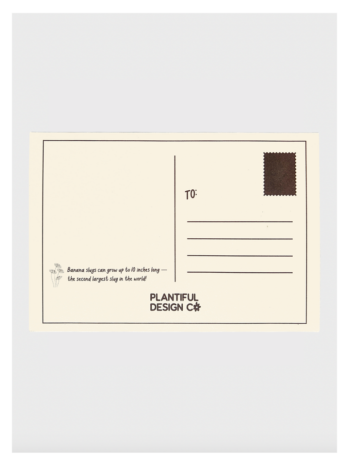 Olympic Peninsula Field Guide Post Card