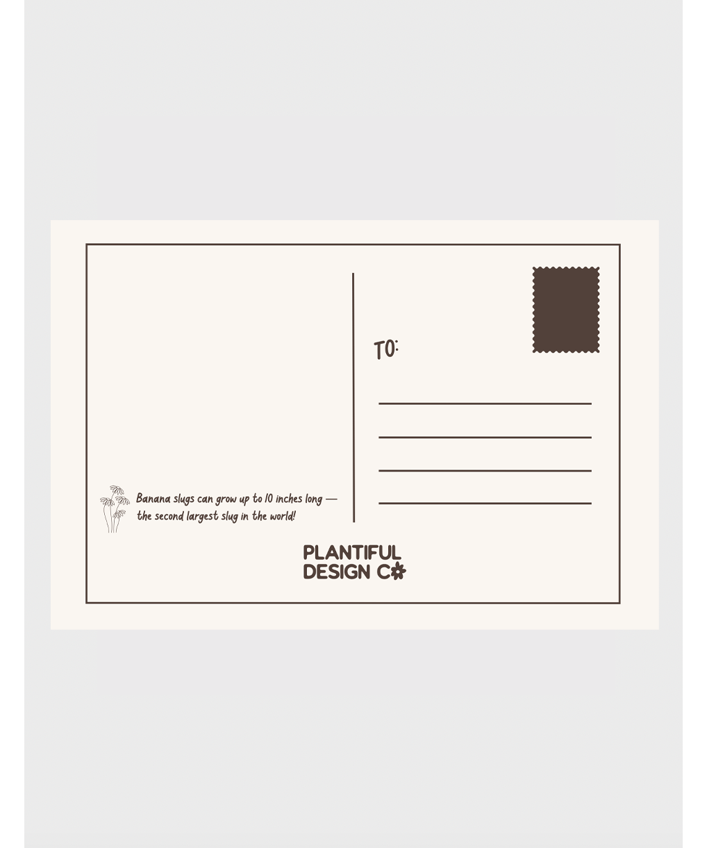 olympicpostcardbackcopy2.png