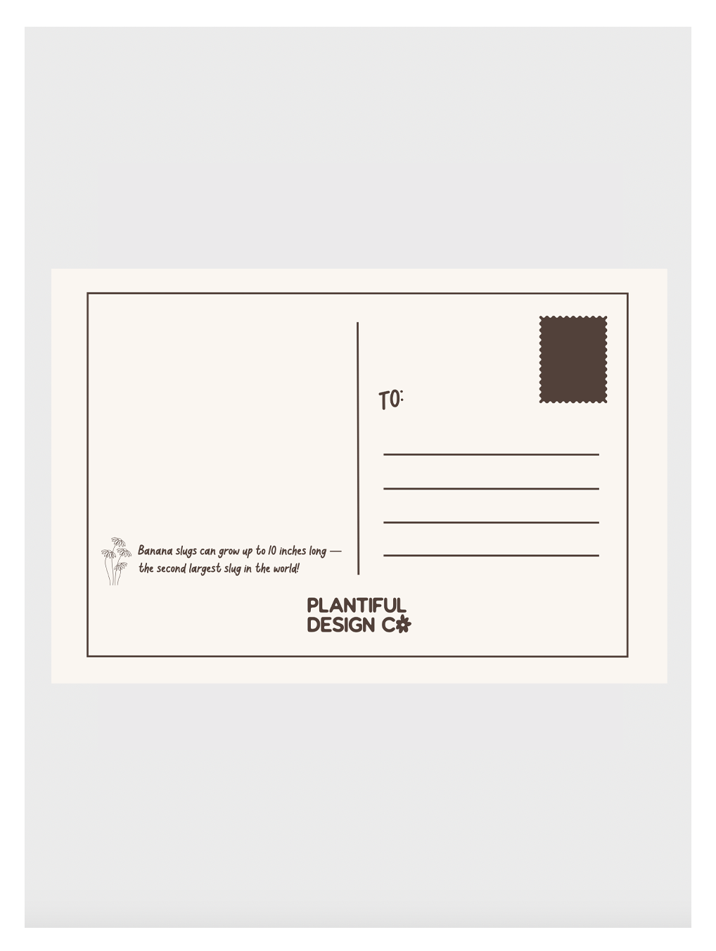 Olympic Peninsula Field Guide Post Card