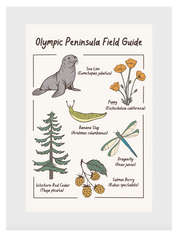 Olympic Peninsula Field Guide Post Card