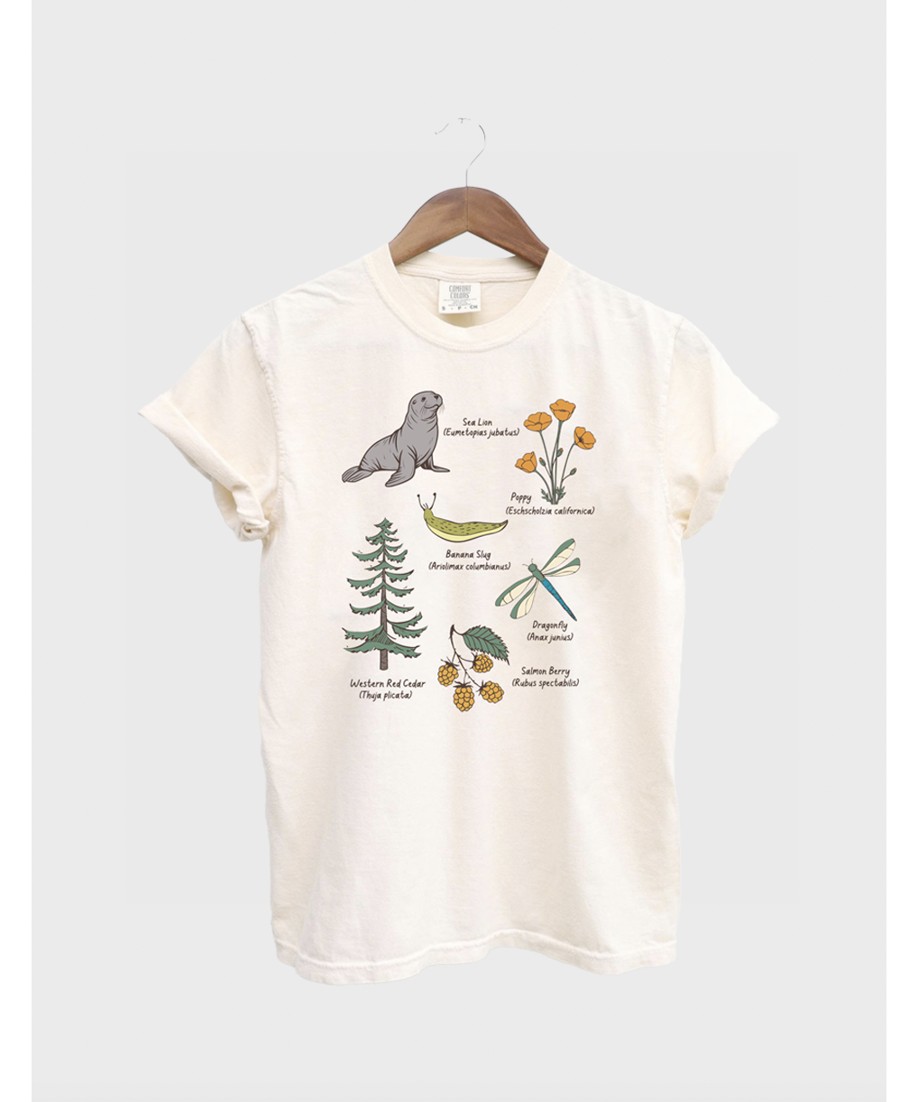 olympictshirtprint.png