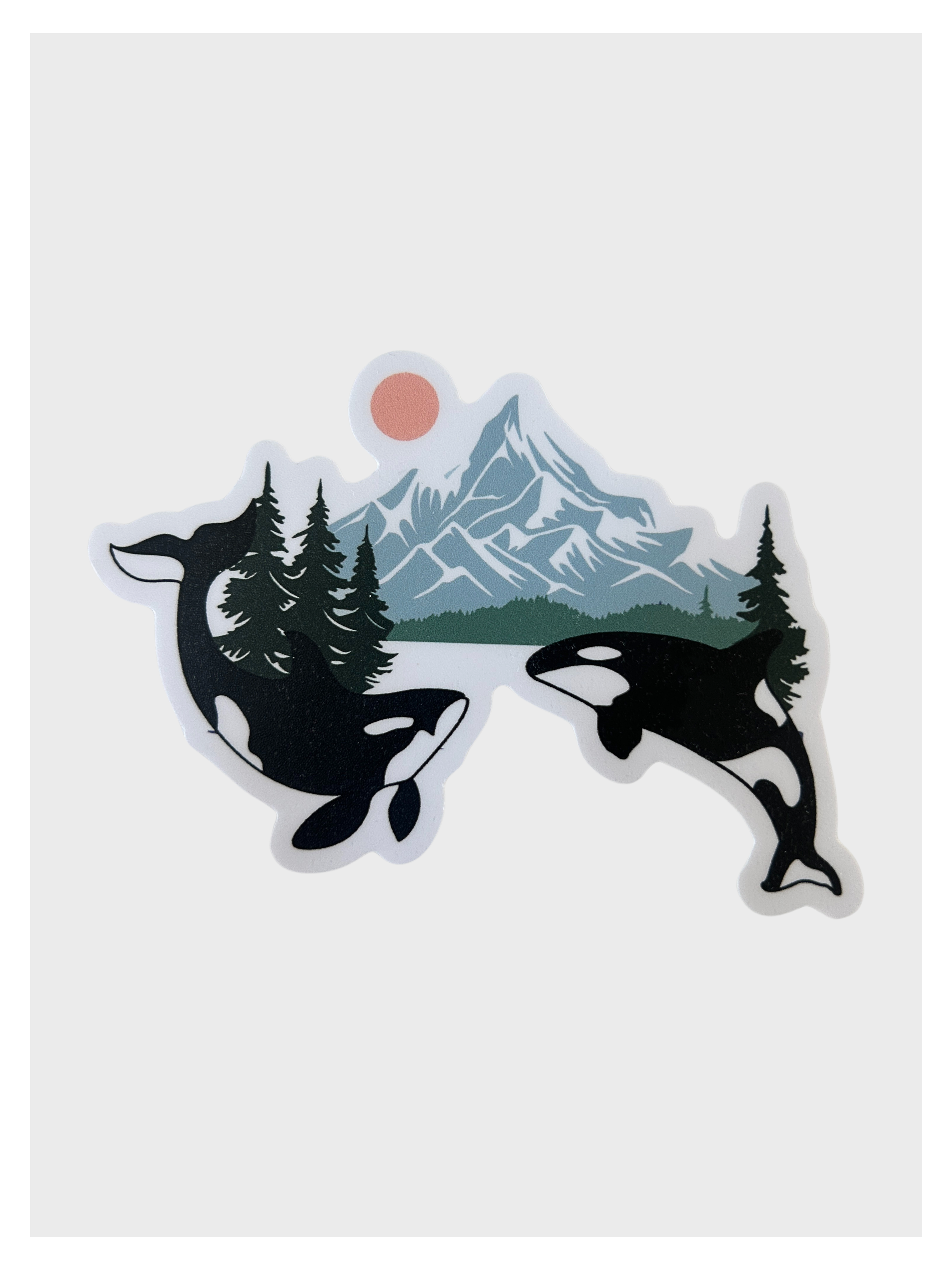 Orca Whale Sticker
