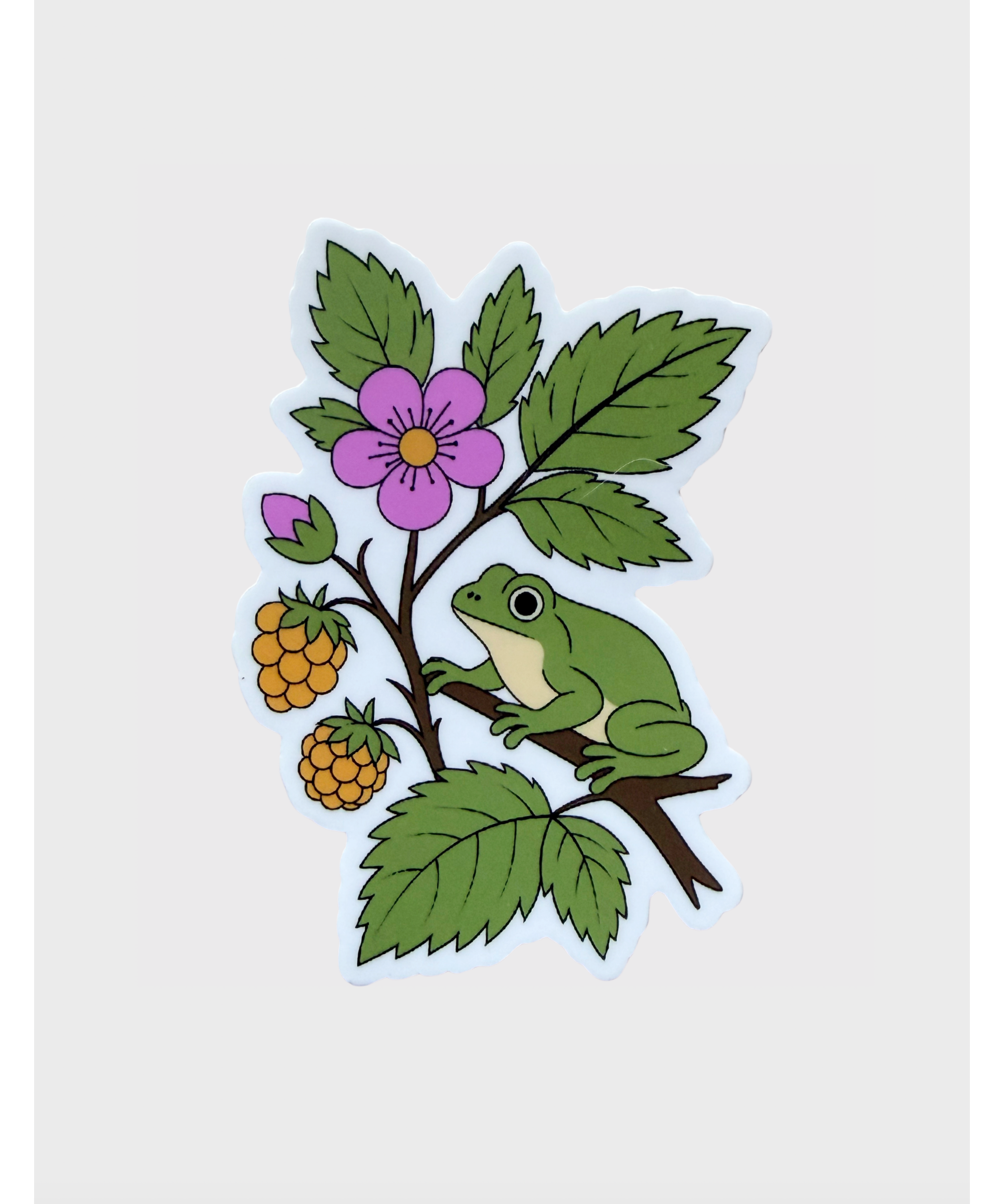 treefrog.png