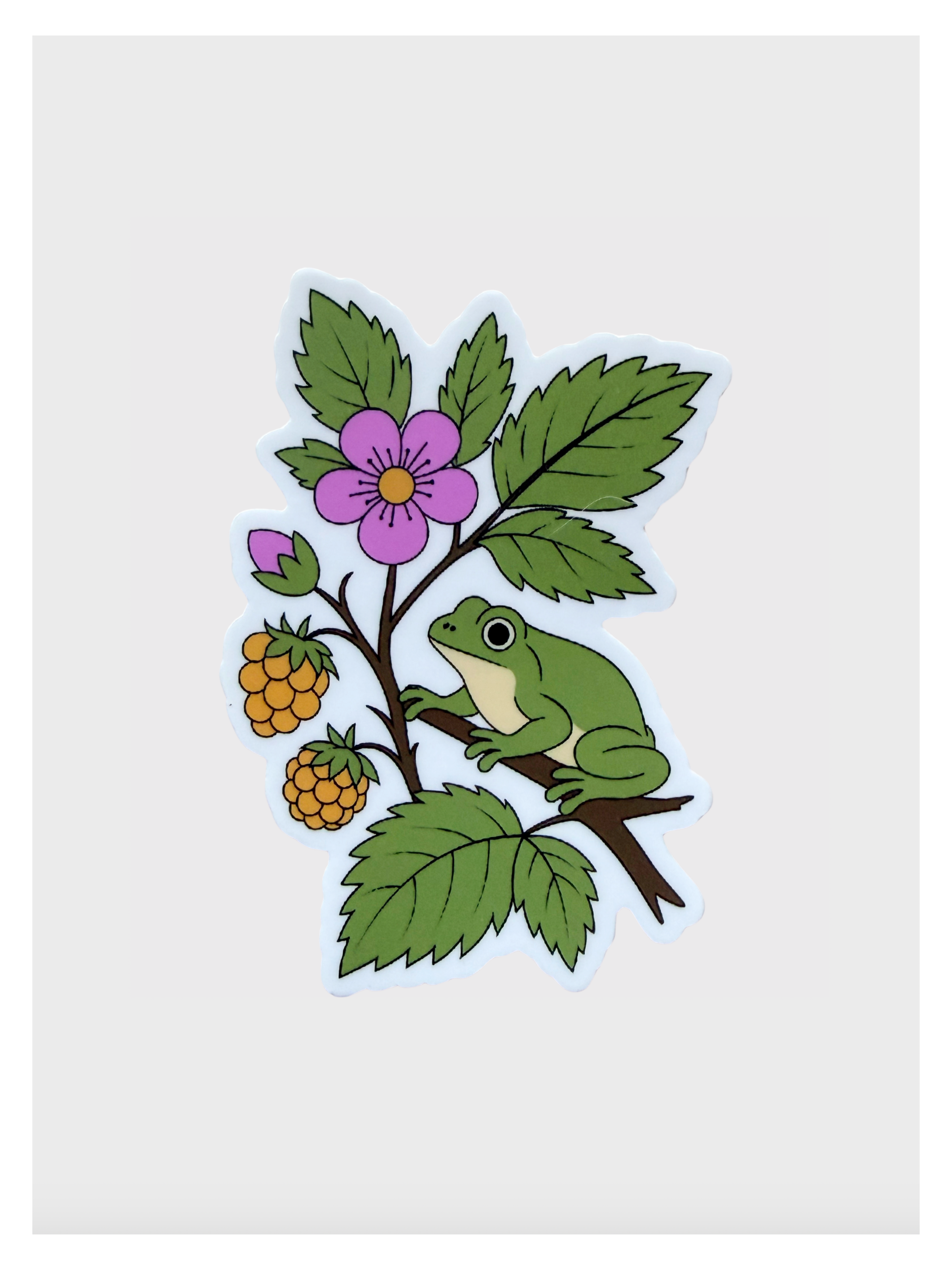 Tree Frog & Salmon Berry Sticker
