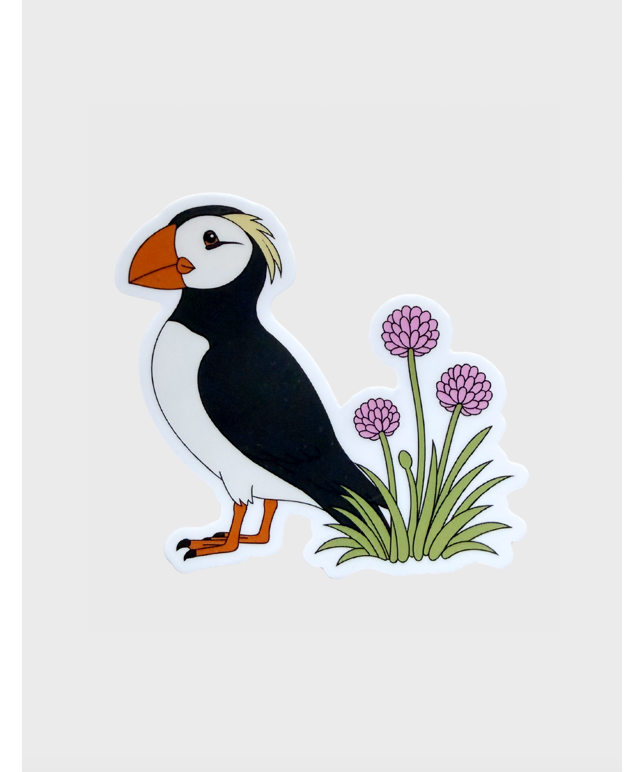 tuftedpuffin.png