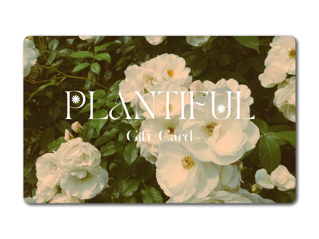 Plantiful Design Co Gift Card